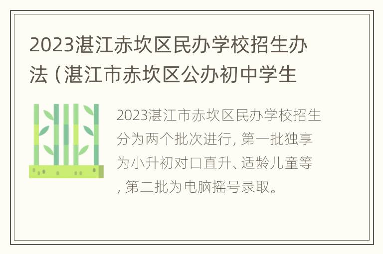 2023湛江赤坎区民办学校招生办法（湛江市赤坎区公办初中学生招生了吗）