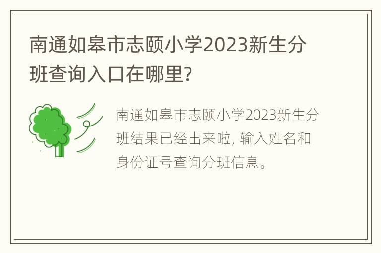 南通如皋市志颐小学2023新生分班查询入口在哪里？