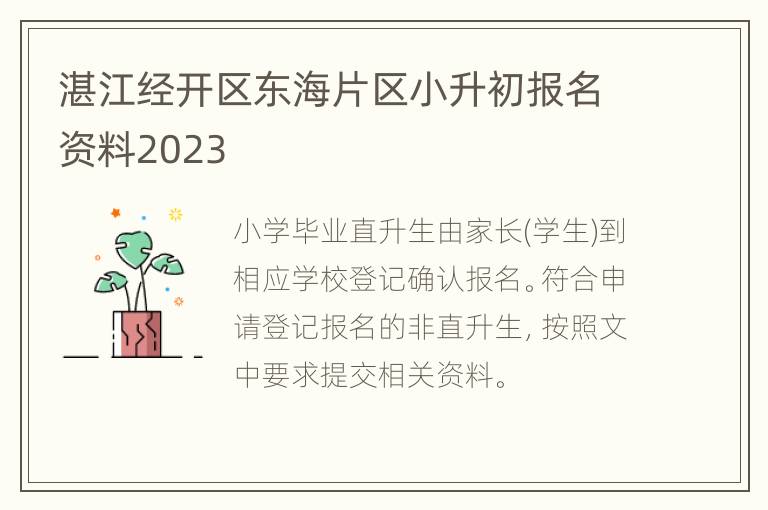 湛江经开区东海片区小升初报名资料2023