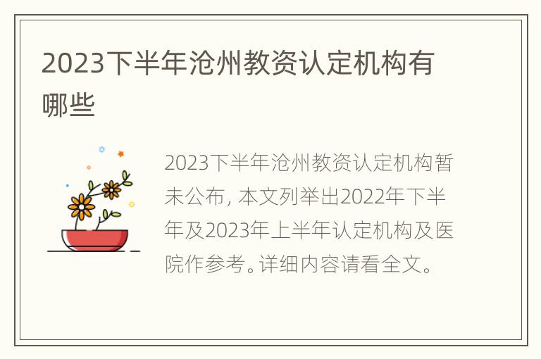 2023下半年沧州教资认定机构有哪些