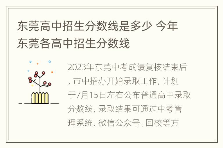 东莞高中招生分数线是多少 今年东莞各高中招生分数线