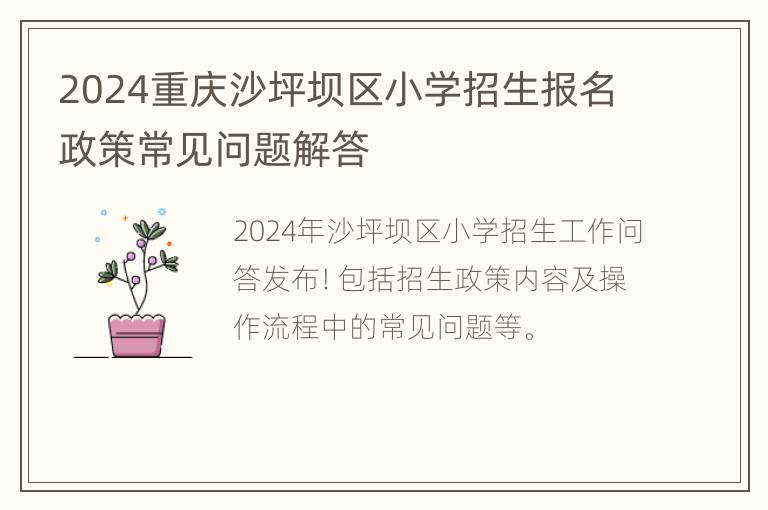 2024重庆沙坪坝区小学招生报名政策常见问题解答