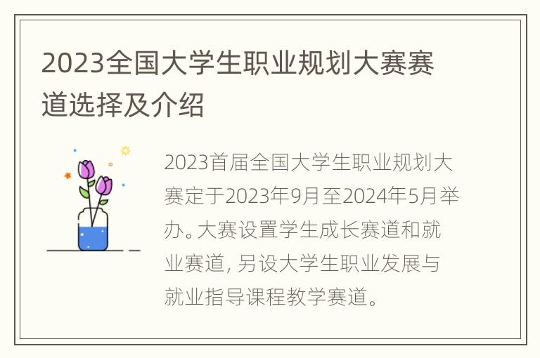 2023全国大学生职业规划大赛赛道选择及介绍