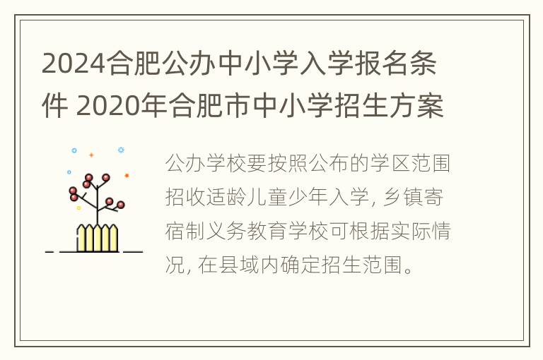 2024合肥公办中小学入学报名条件 2020年合肥市中小学招生方案