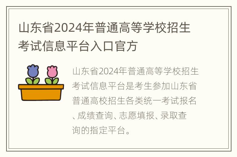 山东省2024年普通高等学校招生考试信息平台入口官方