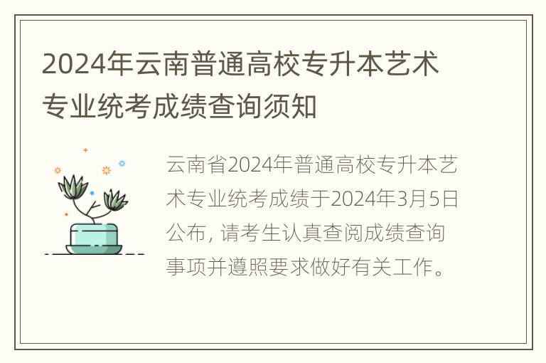 2024年云南普通高校专升本艺术专业统考成绩查询须知