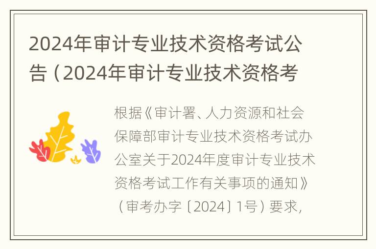 2024年审计专业技术资格考试公告（2024年审计专业技术资格考试公告）