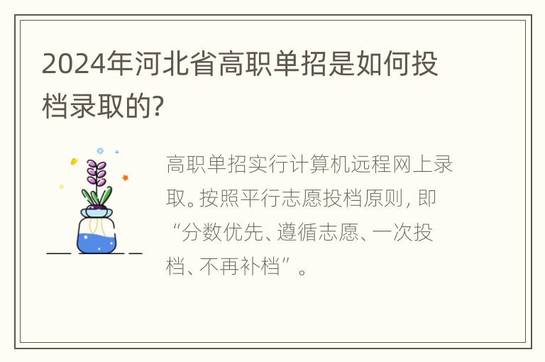 2024年河北省高职单招是如何投档录取的？