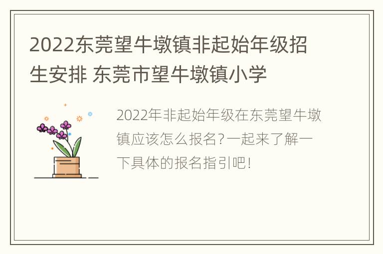 2022东莞望牛墩镇非起始年级招生安排 东莞市望牛墩镇小学