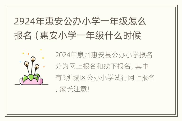 2924年惠安公办小学一年级怎么报名（惠安小学一年级什么时候报名）