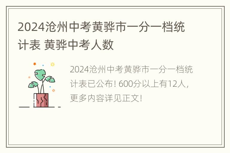 2024沧州中考黄骅市一分一档统计表 黄骅中考人数