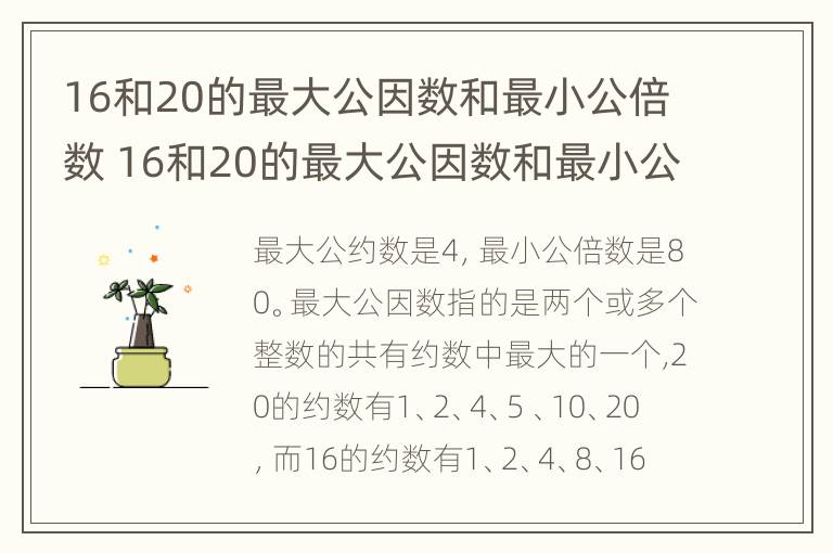 16和20的最大公因数和最小公倍数 16和20的最大公因数和最小公倍数短除法