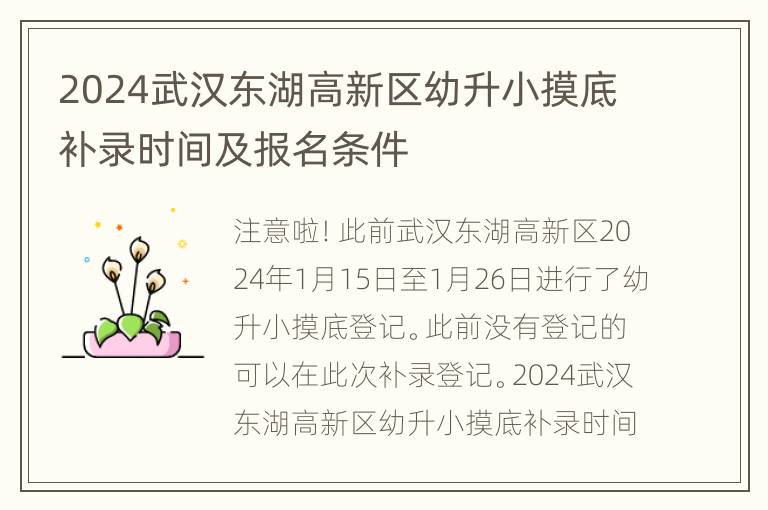 2024武汉东湖高新区幼升小摸底补录时间及报名条件