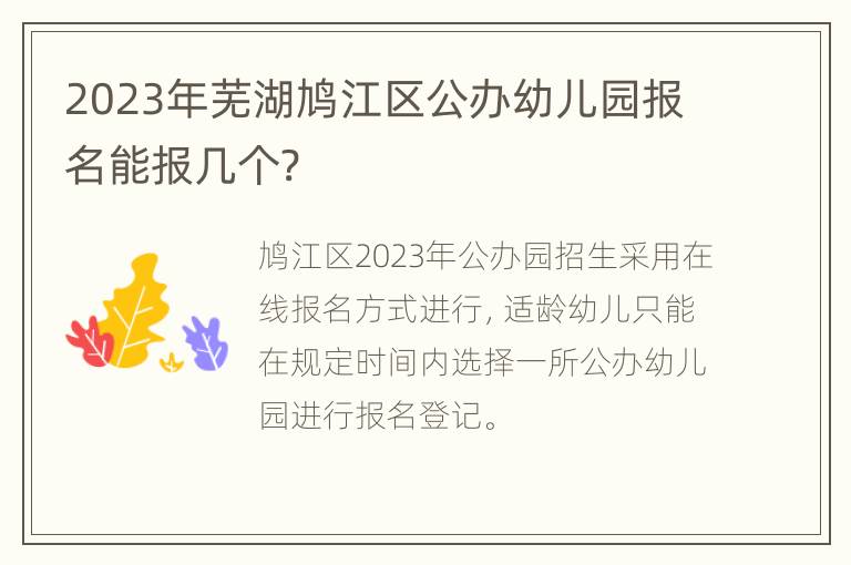 2023年芜湖鸠江区公办幼儿园报名能报几个?