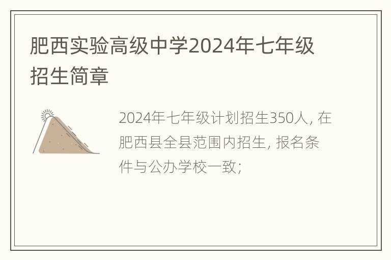 肥西实验高级中学2024年七年级招生简章