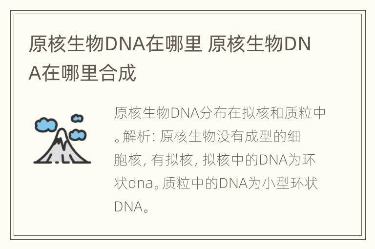 原核生物DNA在哪里 原核生物DNA在哪里合成