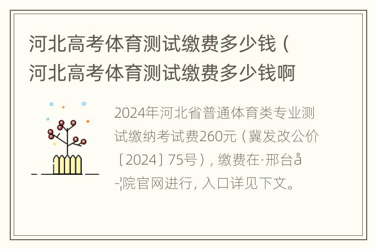 河北高考体育测试缴费多少钱（河北高考体育测试缴费多少钱啊）