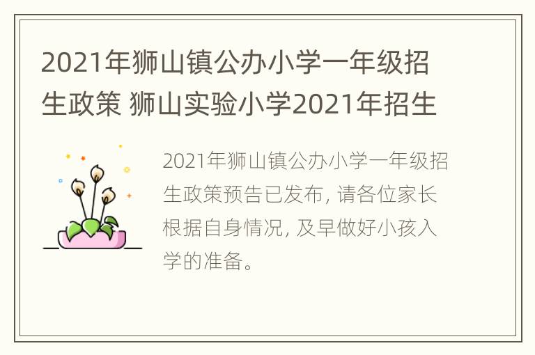 2021年狮山镇公办小学一年级招生政策 狮山实验小学2021年招生