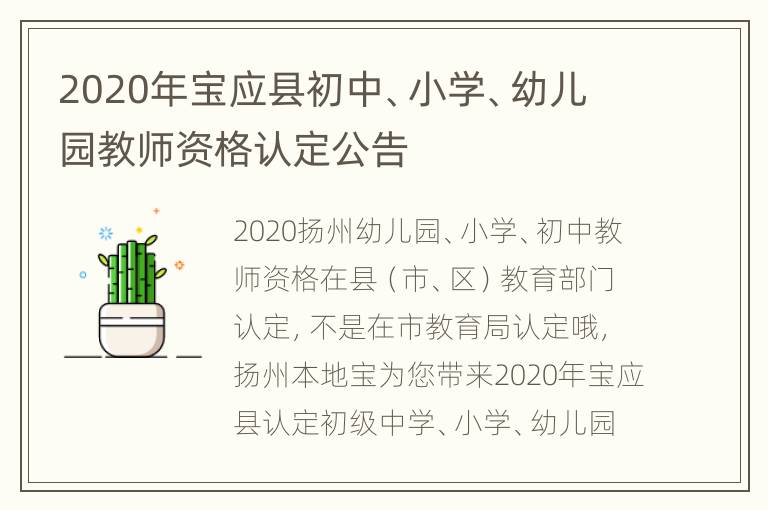 2020年宝应县初中、小学、幼儿园教师资格认定公告