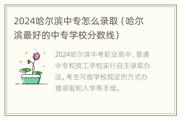 2024哈尔滨中专怎么录取（哈尔滨最好的中专学校分数线）