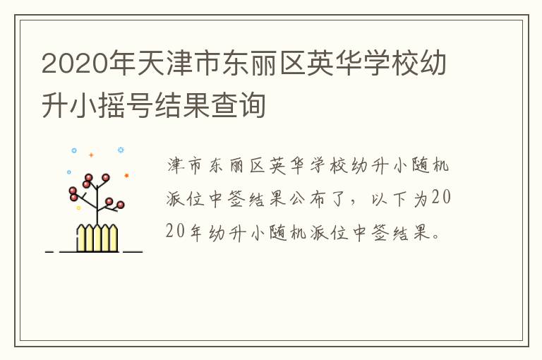 2020年天津市东丽区英华学校幼升小摇号结果查询