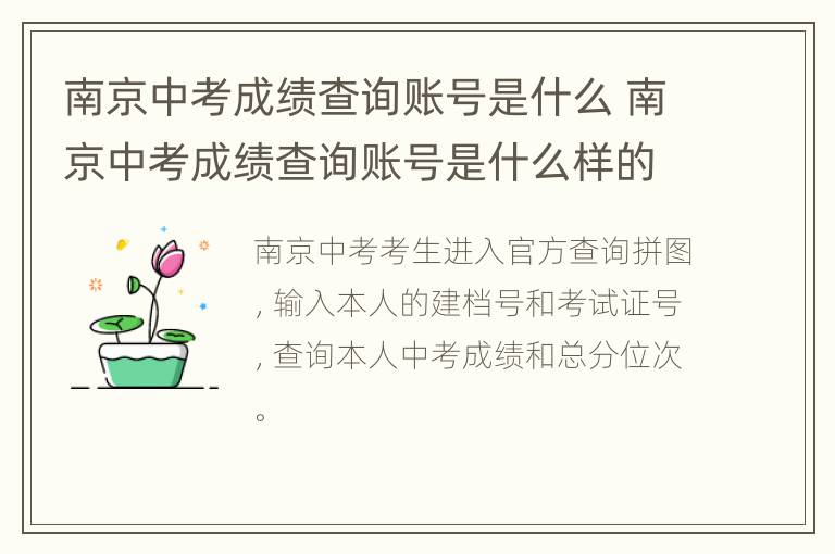 南京中考成绩查询账号是什么 南京中考成绩查询账号是什么样的