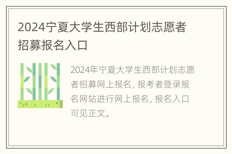 2024宁夏大学生西部计划志愿者招募报名入口