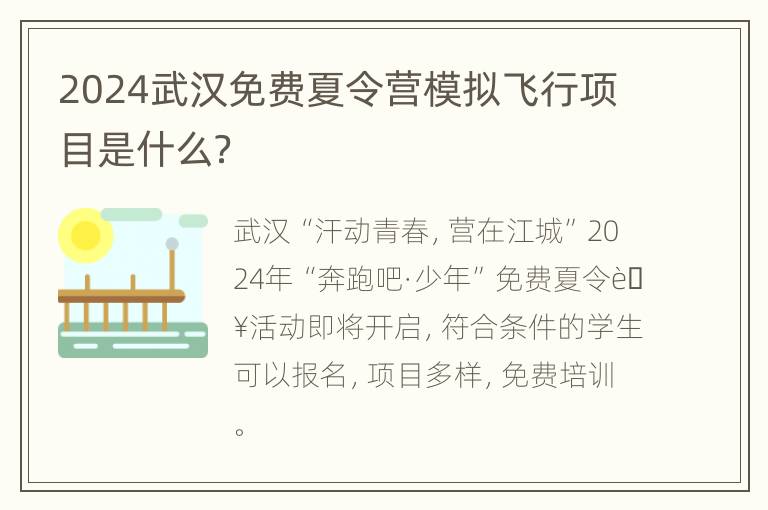 2024武汉免费夏令营模拟飞行项目是什么？