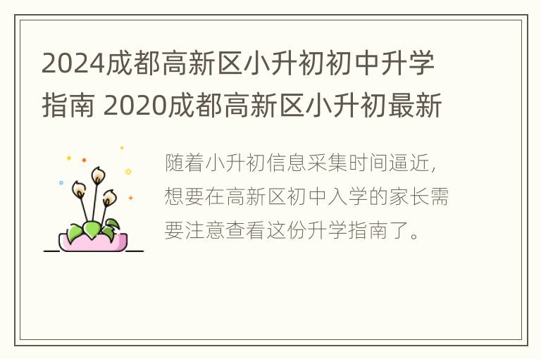 2024成都高新区小升初初中升学指南 2020成都高新区小升初最新政策