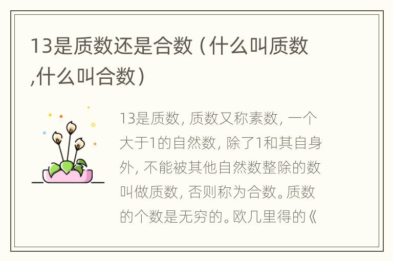 13是质数还是合数（什么叫质数,什么叫合数）