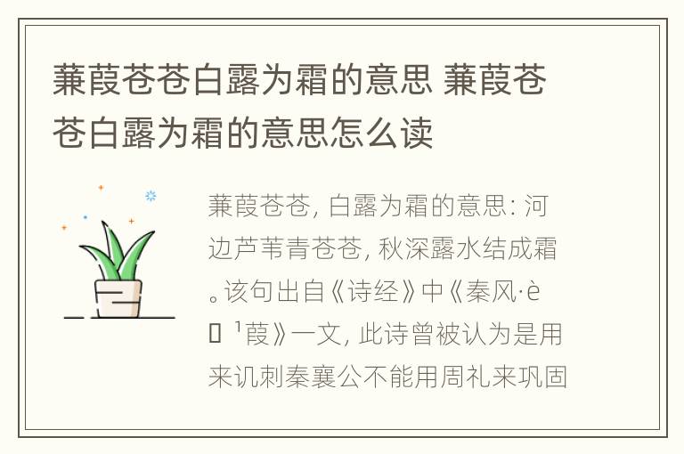 蒹葭苍苍白露为霜的意思 蒹葭苍苍白露为霜的意思怎么读