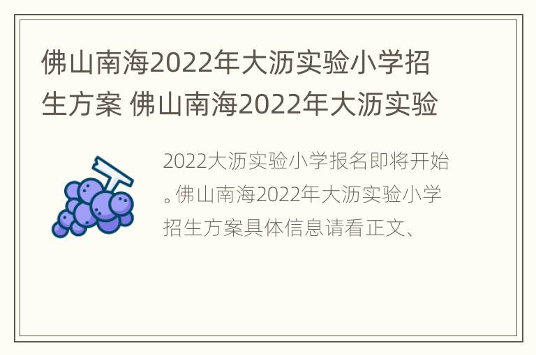 佛山南海2022年大沥实验小学招生方案 佛山南海2022年大沥实验小学招生方案及时间