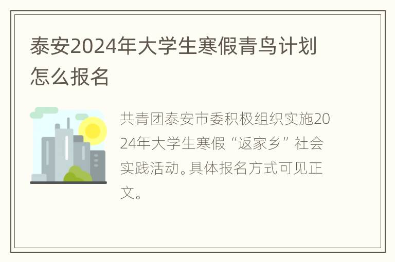 泰安2024年大学生寒假青鸟计划怎么报名