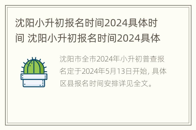 沈阳小升初报名时间2024具体时间 沈阳小升初报名时间2024具体时间是多少