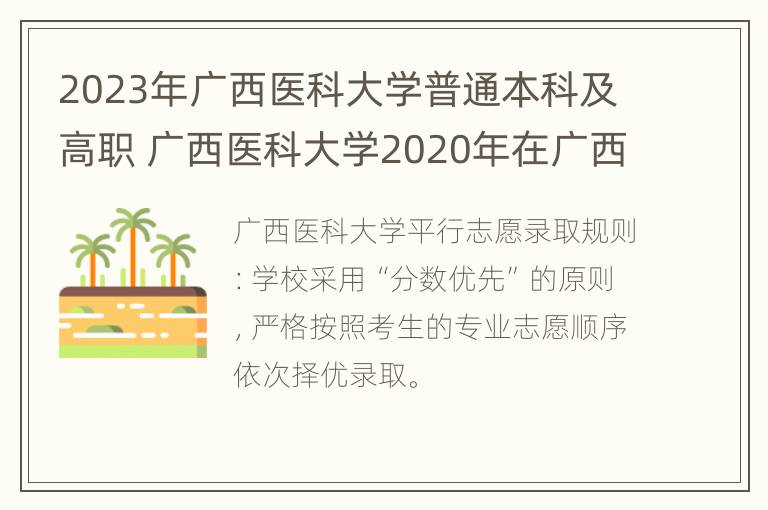 2023年广西医科大学普通本科及高职 广西医科大学2020年在广西招生计划