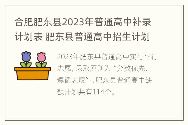 合肥肥东县2023年普通高中补录计划表 肥东县普通高中招生计划