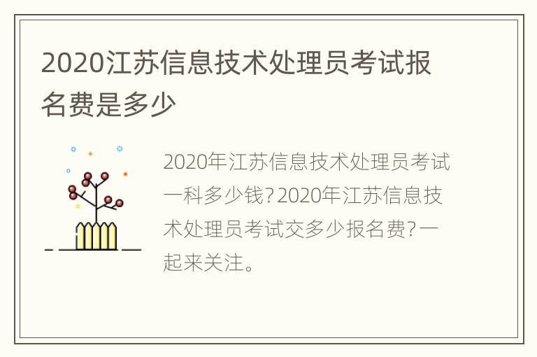 2020江苏信息技术处理员考试报名费是多少