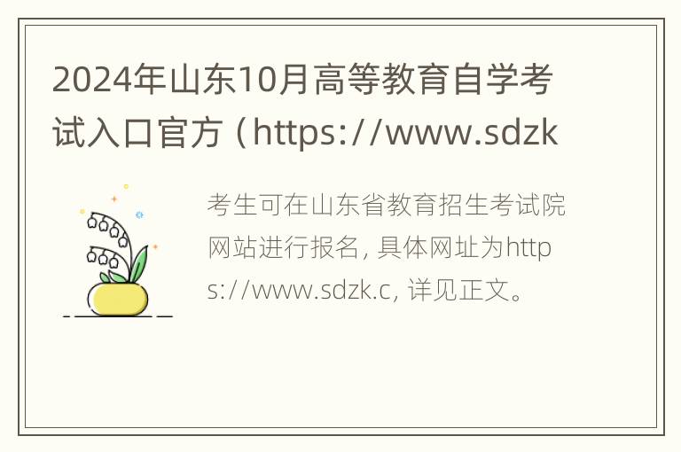 2024年山东10月高等教育自学考试入口官方（https://www.sdzk.cn）