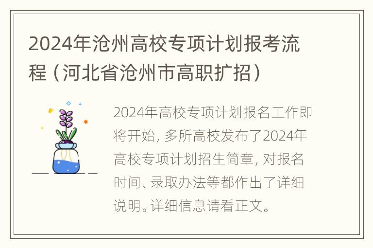 2024年沧州高校专项计划报考流程（河北省沧州市高职扩招）