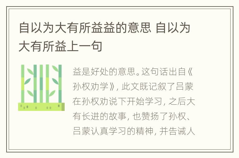 自以为大有所益益的意思 自以为大有所益上一句