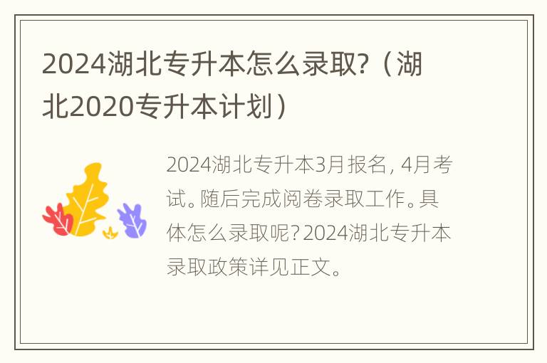 2024湖北专升本怎么录取？（湖北2020专升本计划）