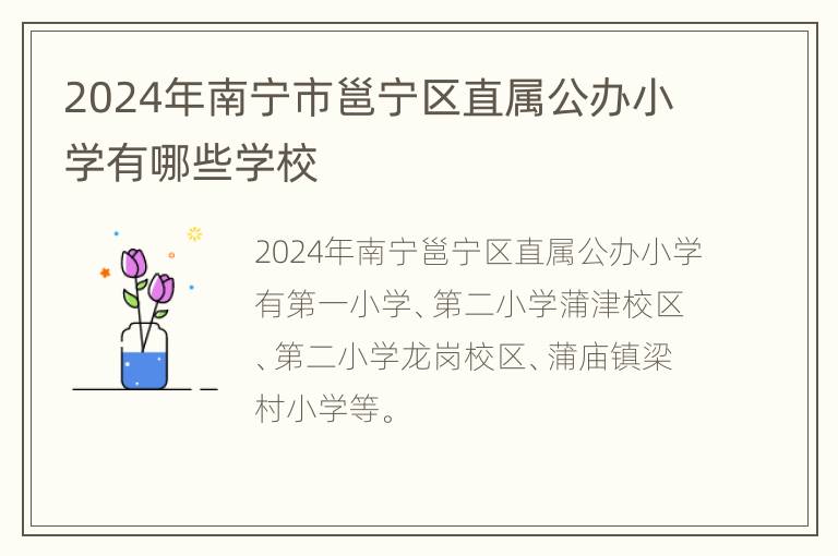 2024年南宁市邕宁区直属公办小学有哪些学校