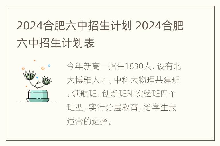 2024合肥六中招生计划 2024合肥六中招生计划表