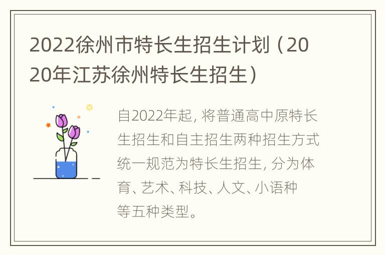 2022徐州市特长生招生计划（2020年江苏徐州特长生招生）