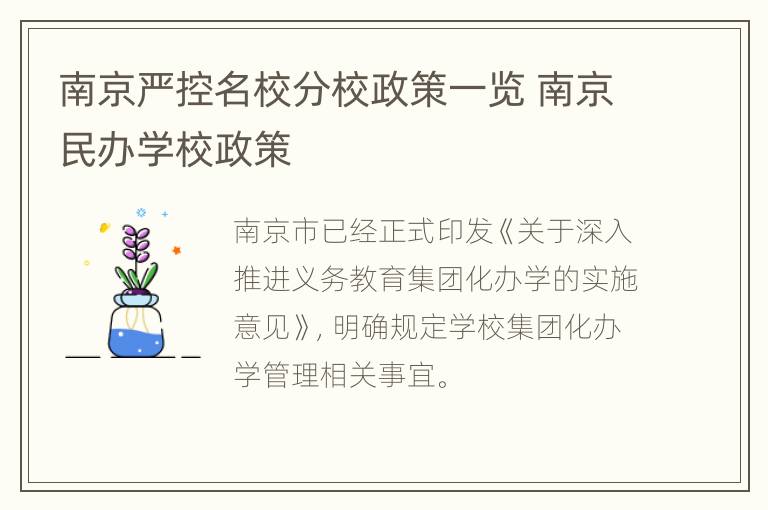 南京严控名校分校政策一览 南京民办学校政策