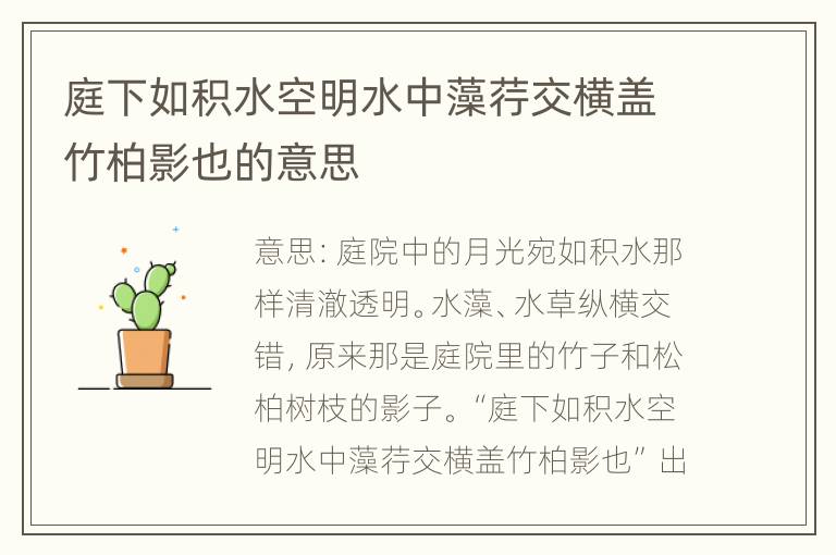 庭下如积水空明水中藻荇交横盖竹柏影也的意思