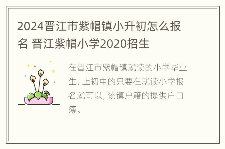 2024晋江市紫帽镇小升初怎么报名 晋江紫帽小学2020招生