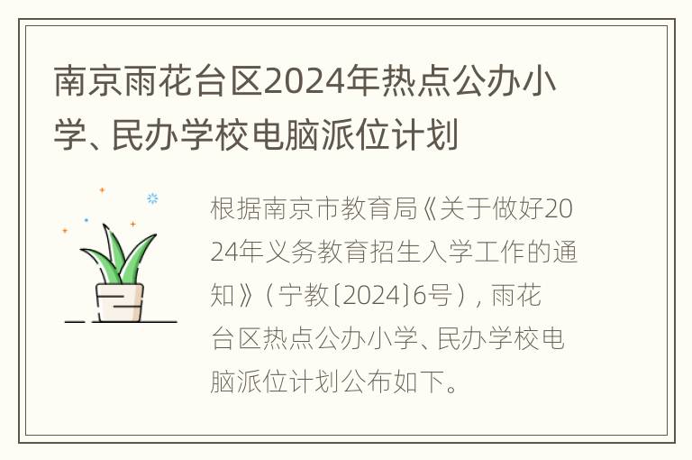 南京雨花台区2024年热点公办小学、民办学校电脑派位计划