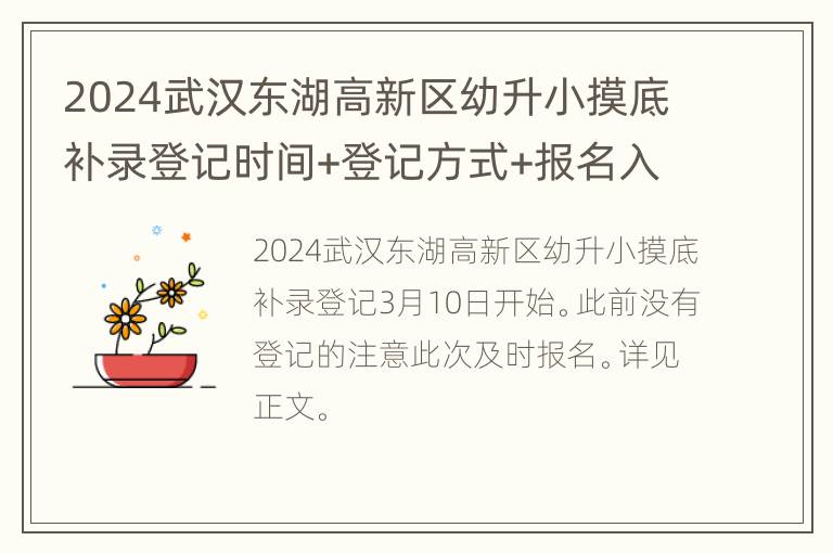 2024武汉东湖高新区幼升小摸底补录登记时间+登记方式+报名入口