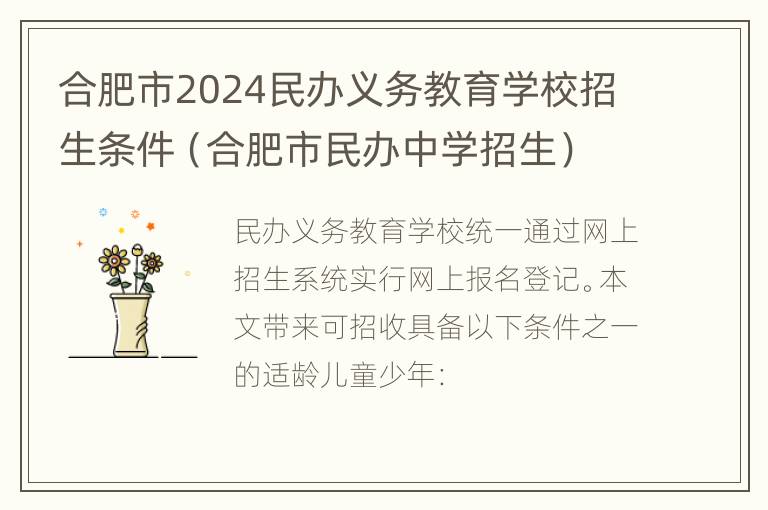 合肥市2024民办义务教育学校招生条件（合肥市民办中学招生）